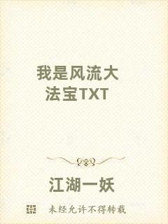 我是風(fēng)流大法寶TXT
