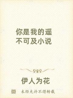 你是我的遙不可及小說