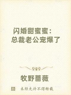閃婚甜蜜蜜：總裁老公寵爆了