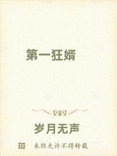 第一狂婿