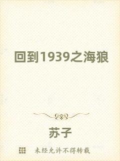 回到1939之海狼