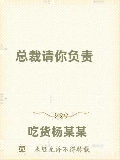 總裁請你負(fù)責(zé)