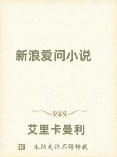 新浪愛(ài)問(wèn)小說(shuō)
