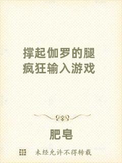 撐起伽羅的腿瘋狂輸入游戲