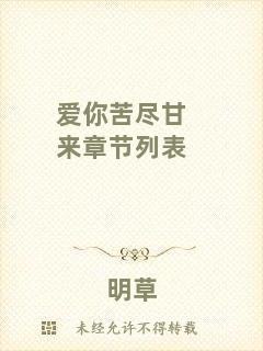 愛你苦盡甘來章節(jié)列表