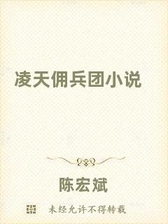 凌天傭兵團小說