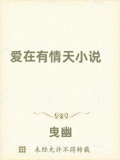 愛在有情天小說