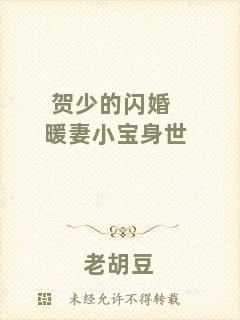 賀少的閃婚暖妻小寶身世