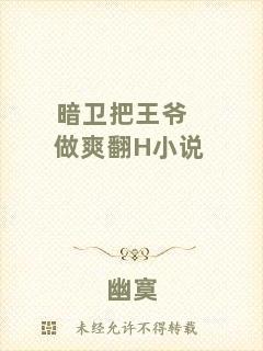 暗衛(wèi)把王爺做爽翻H小說