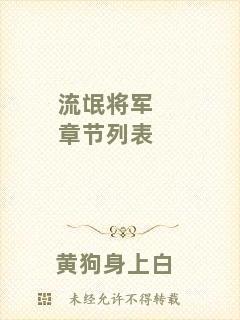 流氓將軍章節(jié)列表