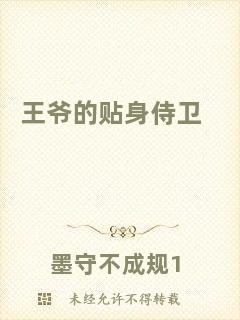 王爺?shù)馁N身侍衛(wèi)