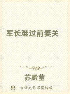 軍長難過前妻關(guān)