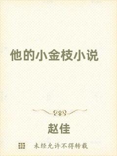 他的小金枝小說