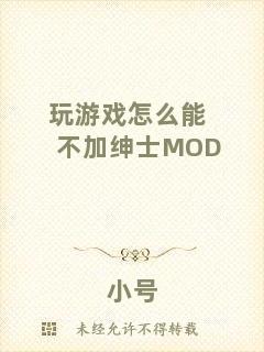 玩游戲怎么能不加紳士MOD