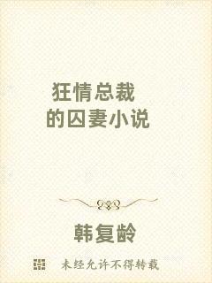 狂情總裁的囚妻小說