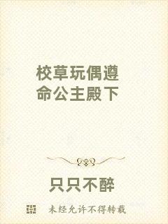 校草玩偶遵命公主殿下