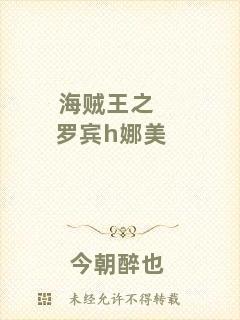 海賊王之羅賓h娜美
