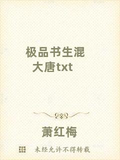 極品書(shū)生混大唐txt