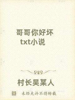 哥哥你好壞txt小說(shuō)