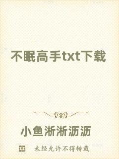 不眠高手txt下載