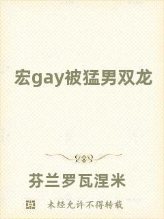 宏gay被猛男雙龍