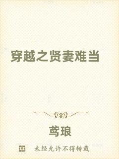 穿越之賢妻難當(dāng)