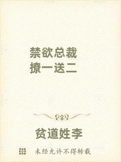 禁欲總裁撩一送二