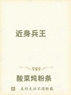 近身兵王