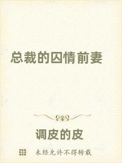 總裁的囚情前妻
